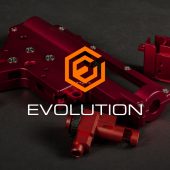 a_evolution_t